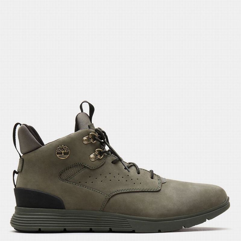 Timberland Killington Hiker Chukka Čizme Maslinasto Zelene | 2477494