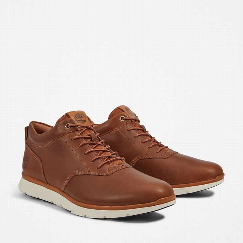 Timberland Killington Oxford Chukka Čizme Smeđe | 23106808