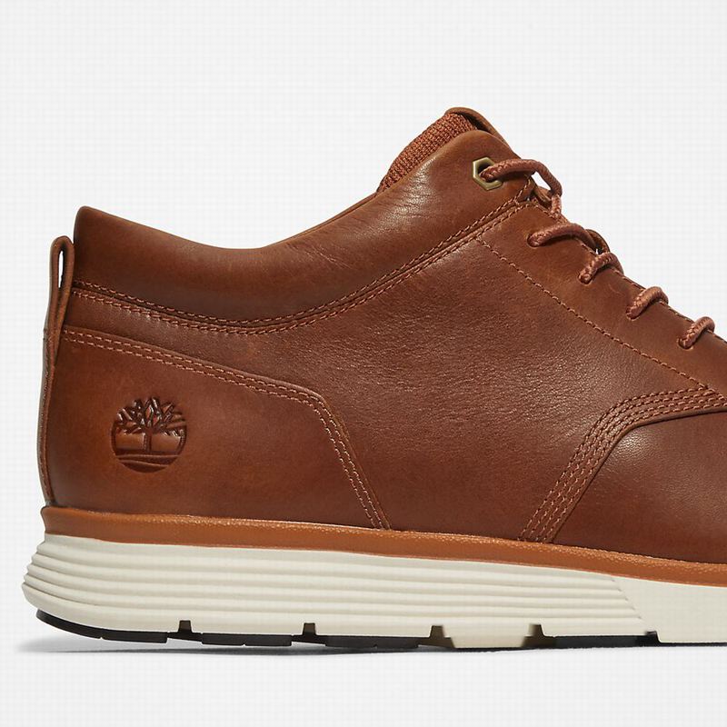 Timberland Killington Oxford Chukka Čizme Smeđe | 23106808