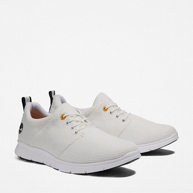 Timberland Killington Oxford Tenisice Bijele | 75202594