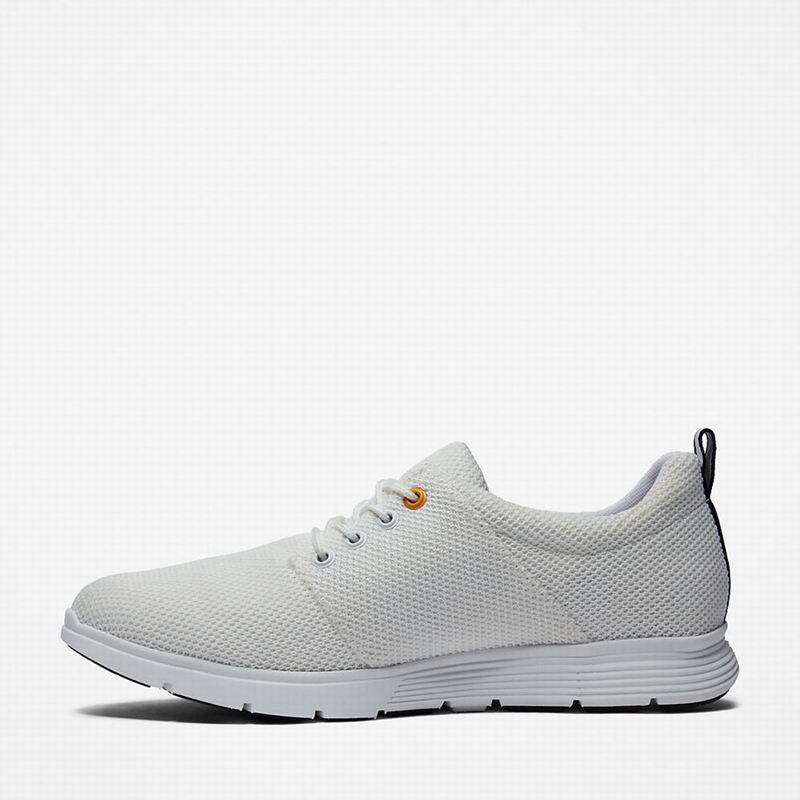 Timberland Killington Oxford Tenisice Bijele | 75202594