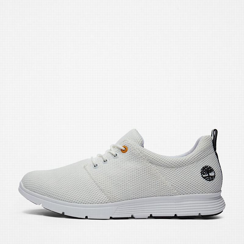 Timberland Killington Oxford Tenisice Bijele | 75202594