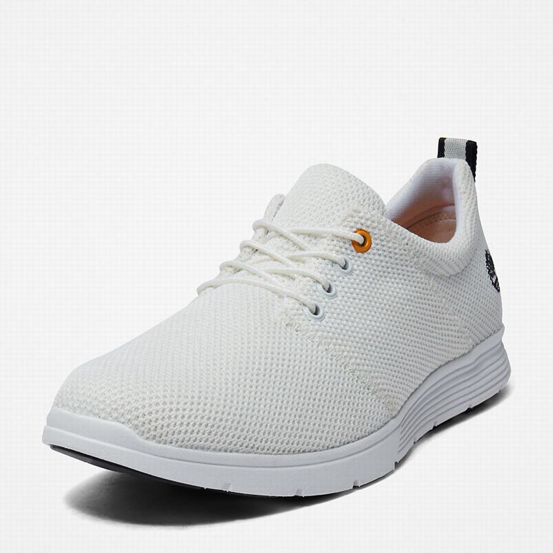 Timberland Killington Oxford Tenisice Bijele | 75202594