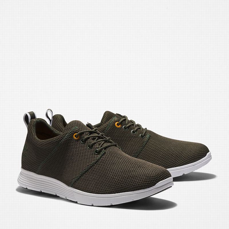 Timberland Killington Oxford Tenisice Maslinasto Zelene | 63708273