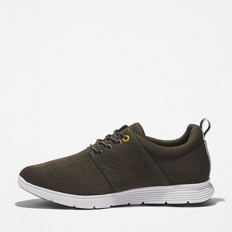 Timberland Killington Oxford Tenisice Maslinasto Zelene | 63708273