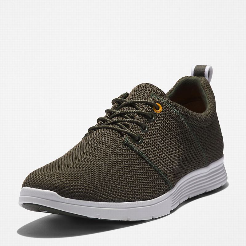 Timberland Killington Oxford Tenisice Maslinasto Zelene | 63708273