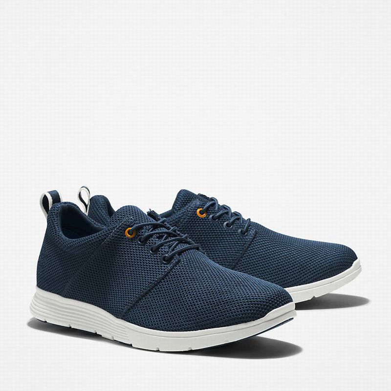 Timberland Killington Oxford Tenisice Plave | 51060872