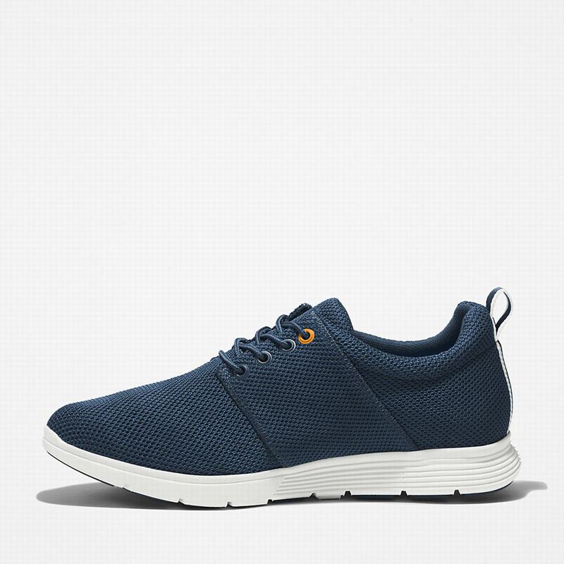 Timberland Killington Oxford Tenisice Plave | 51060872