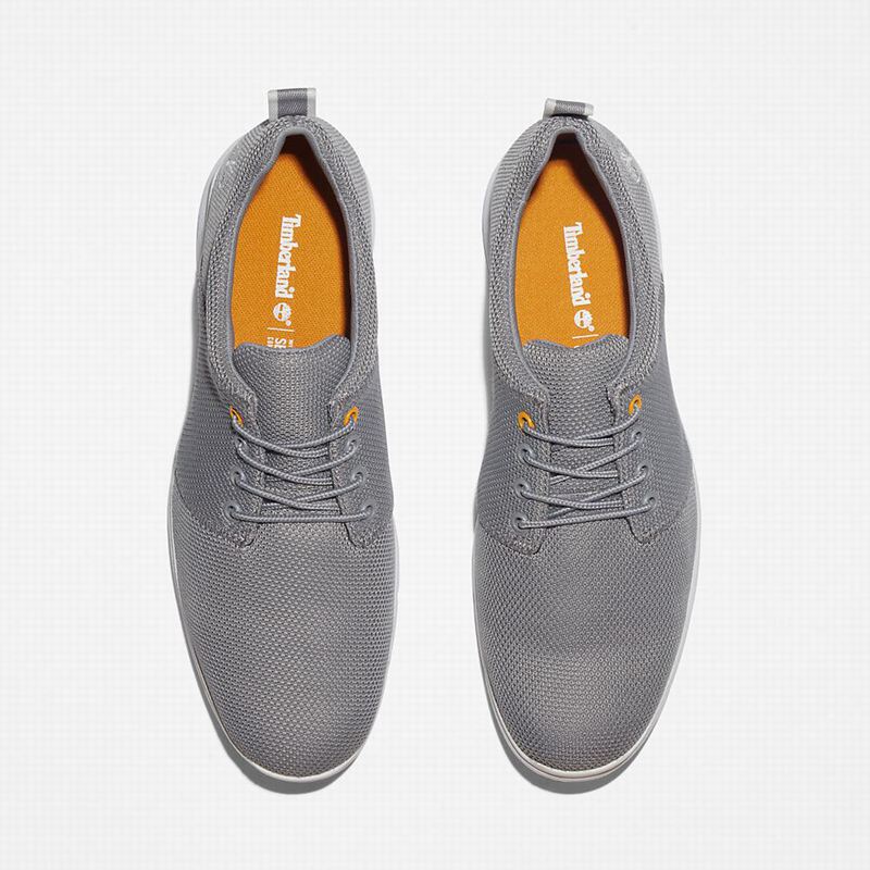 Timberland Killington Oxford Tenisice Sive | 52934013