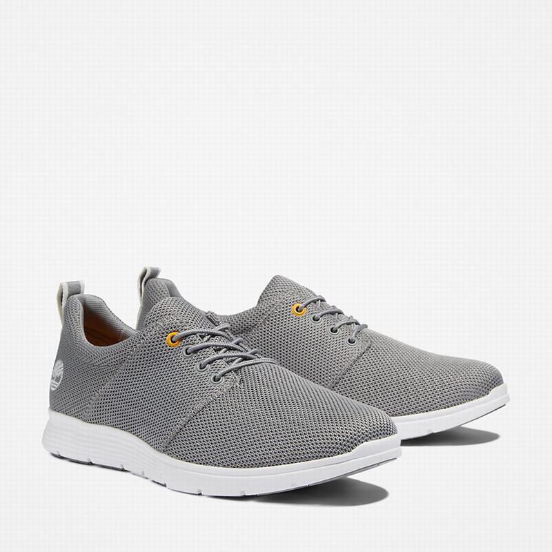 Timberland Killington Oxford Tenisice Sive | 52934013