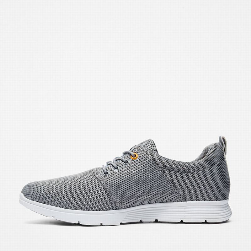 Timberland Killington Oxford Tenisice Sive | 52934013