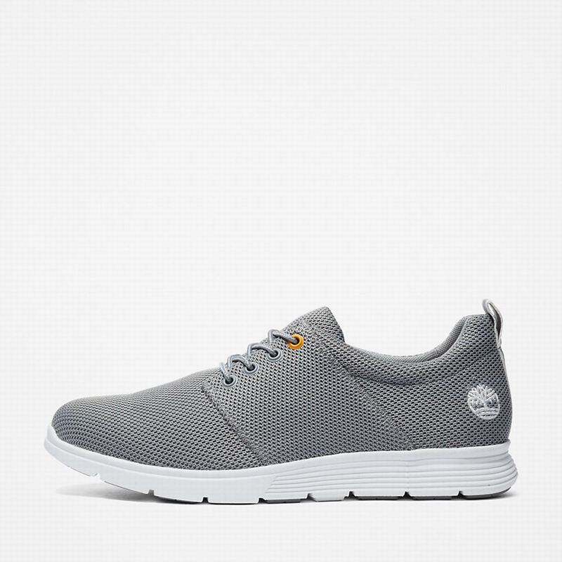 Timberland Killington Oxford Tenisice Sive | 52934013
