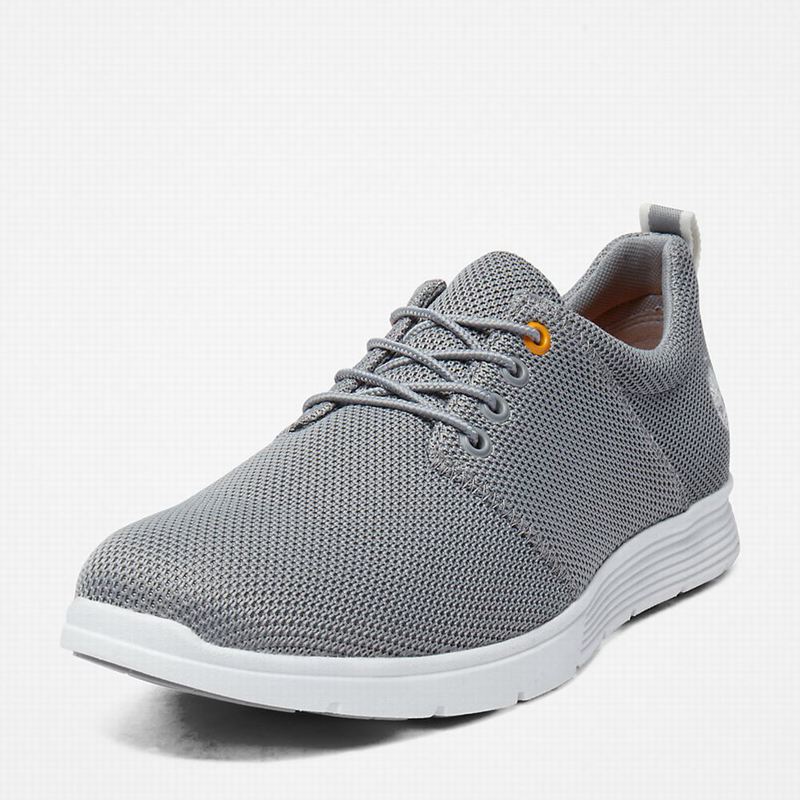 Timberland Killington Oxford Tenisice Sive | 52934013