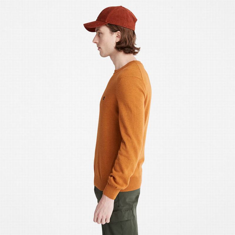 Timberland Knox River Džemperi Žute | 6884129