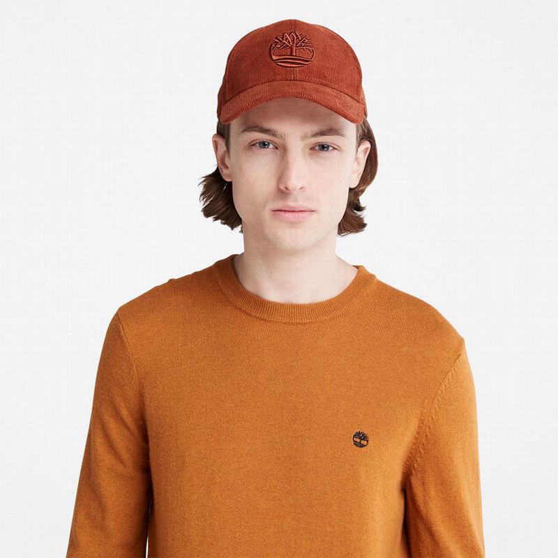 Timberland Knox River Džemperi Žute | 6884129