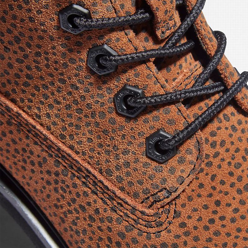 Timberland Kori Park 6 Inch Lace-Up Čizme Smeđe | 42917834