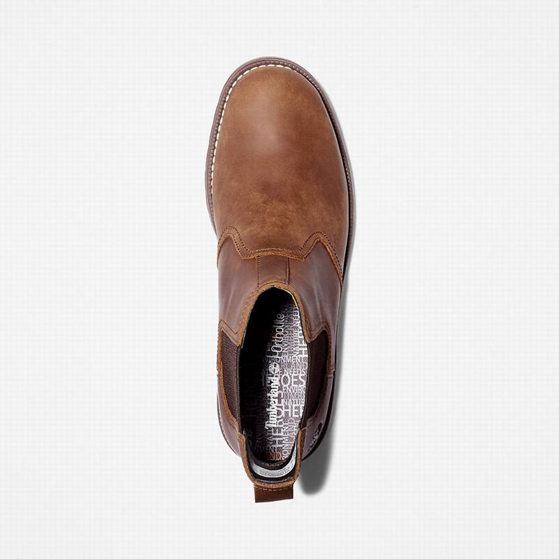 Timberland Larchmont Chelsea Čizme Smeđe | 59052089