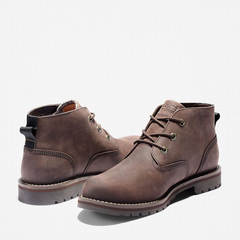 Timberland Larchmont II Chukka Čizme Smeđe | 75561727