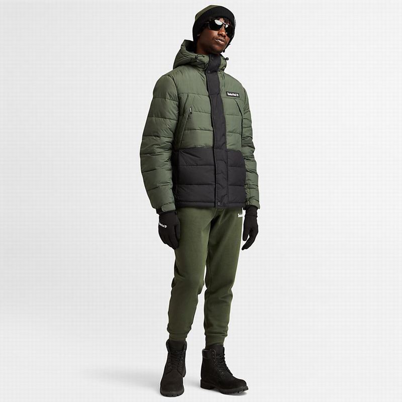 Timberland Light Insulated Donje Jakne Zelene | 76175581