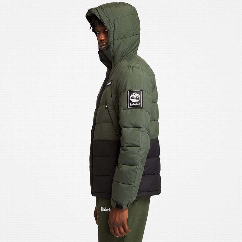 Timberland Light Insulated Donje Jakne Zelene | 76175581