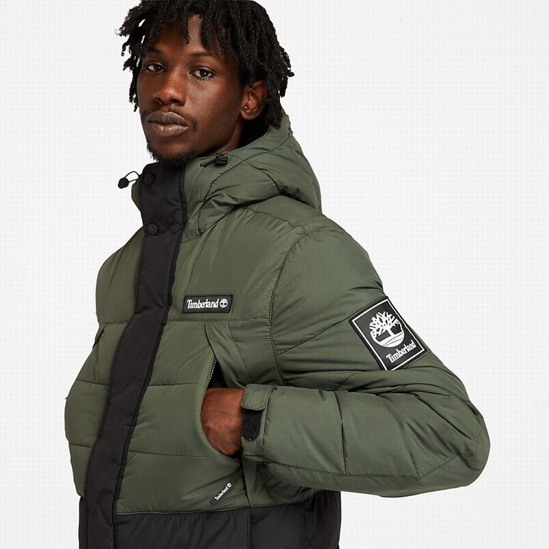 Timberland Light Insulated Donje Jakne Zelene | 76175581