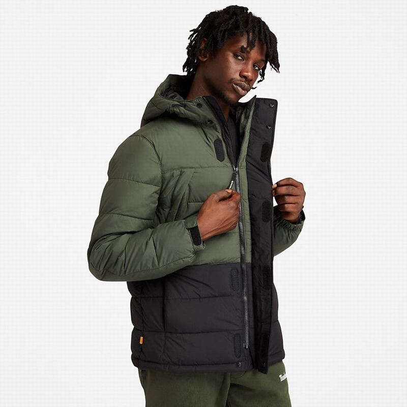 Timberland Light Insulated Donje Jakne Zelene | 76175581