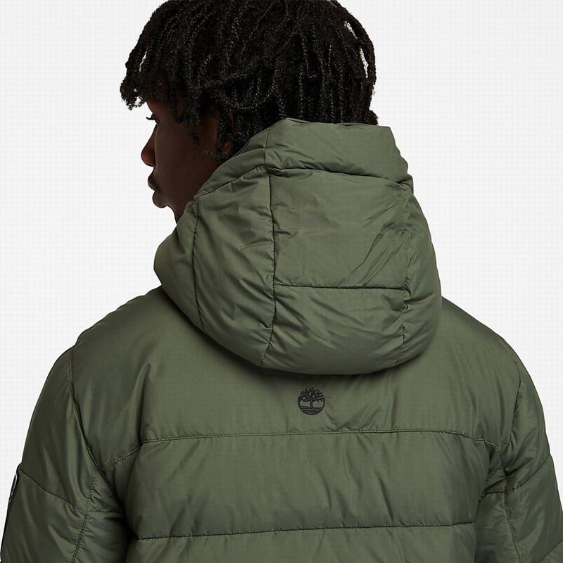 Timberland Light Insulated Donje Jakne Zelene | 76175581