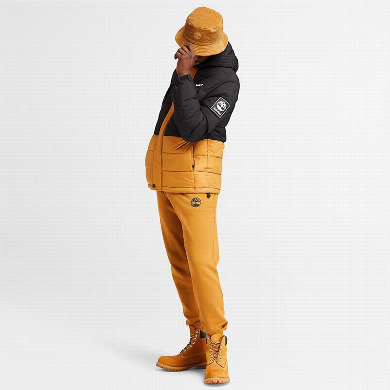Timberland Light Insulated Donje Jakne Žute | 12603263