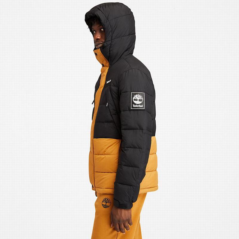 Timberland Light Insulated Donje Jakne Žute | 12603263