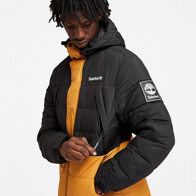 Timberland Light Insulated Donje Jakne Žute | 12603263