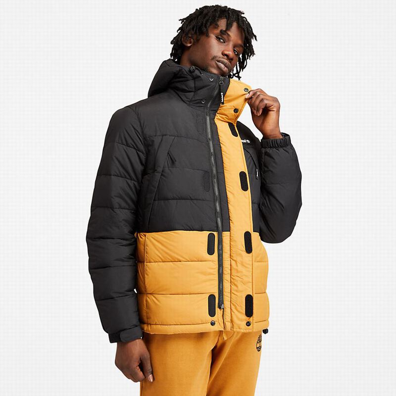 Timberland Light Insulated Donje Jakne Žute | 12603263