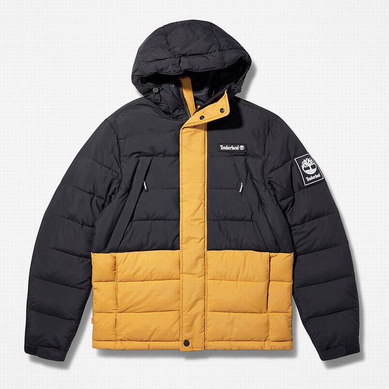 Timberland Light Insulated Donje Jakne Žute | 12603263