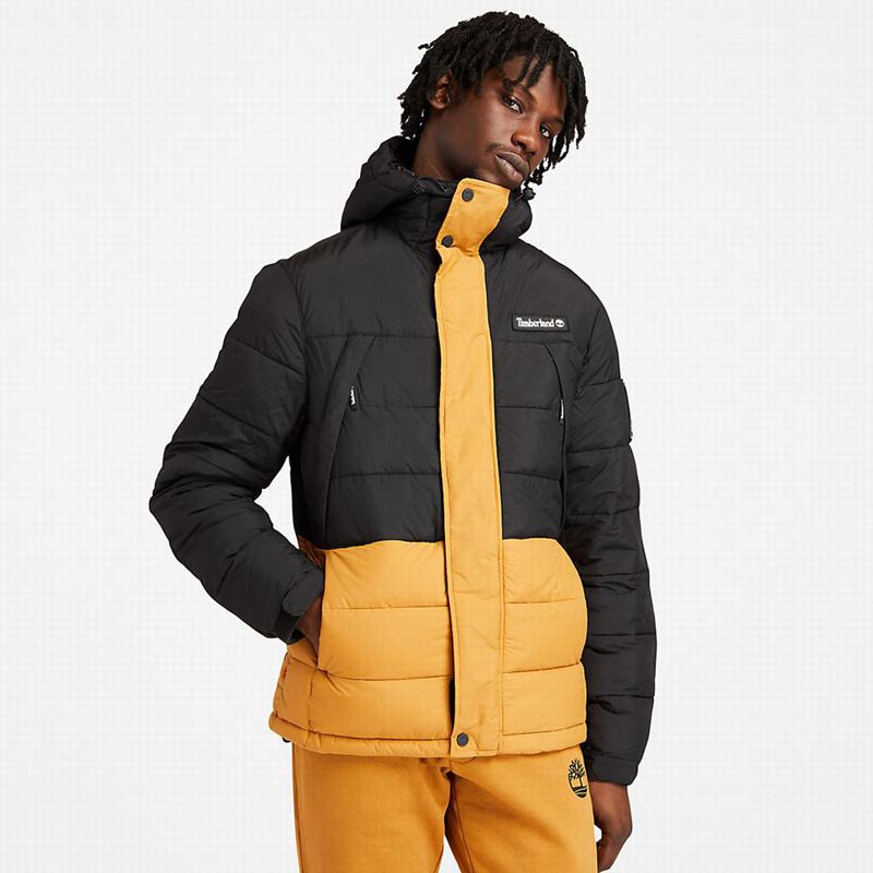 Timberland Light Insulated Donje Jakne Žute | 12603263