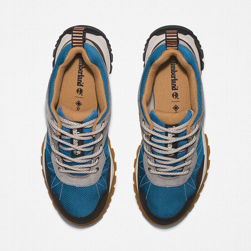 Timberland Lincoln Peak Gore-Tex Low Cipele Za Planinarenje Sive | 95406147