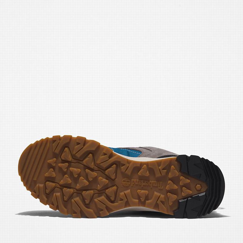 Timberland Lincoln Peak Gore-Tex Low Cipele Za Planinarenje Sive | 95406147