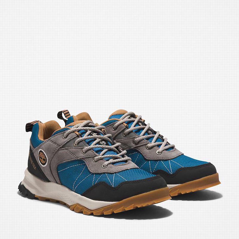 Timberland Lincoln Peak Gore-Tex Low Cipele Za Planinarenje Sive | 95406147