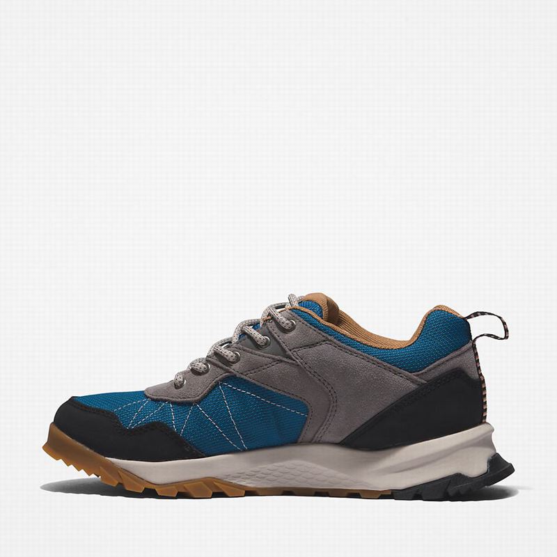 Timberland Lincoln Peak Gore-Tex Low Cipele Za Planinarenje Sive | 95406147
