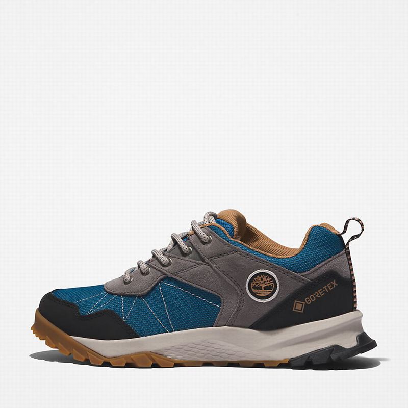 Timberland Lincoln Peak Gore-Tex Low Cipele Za Planinarenje Sive | 95406147
