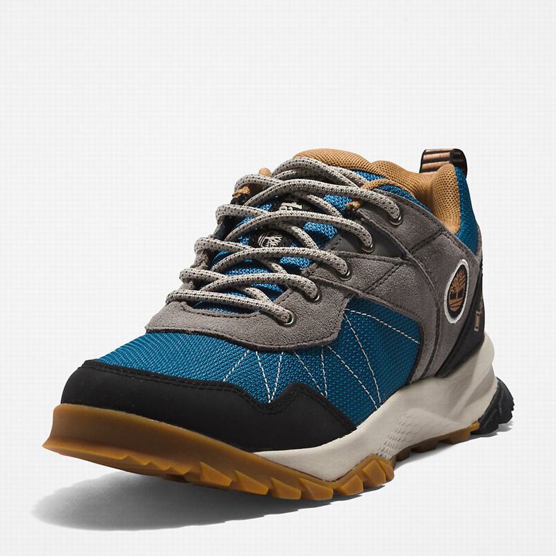 Timberland Lincoln Peak Gore-Tex Low Cipele Za Planinarenje Sive | 95406147
