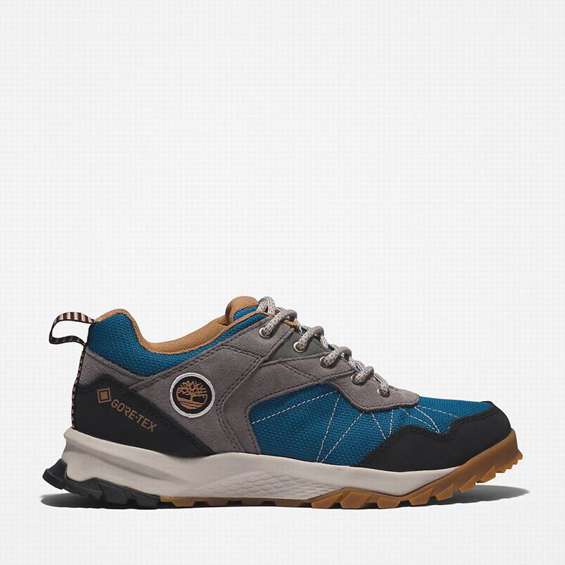 Timberland Lincoln Peak Gore-Tex Low Cipele Za Planinarenje Sive | 95406147
