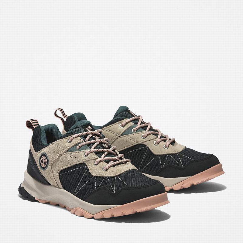Timberland Lincoln Peak Gore-Tex Low Cipele Za Planinarenje Crne | 96065368