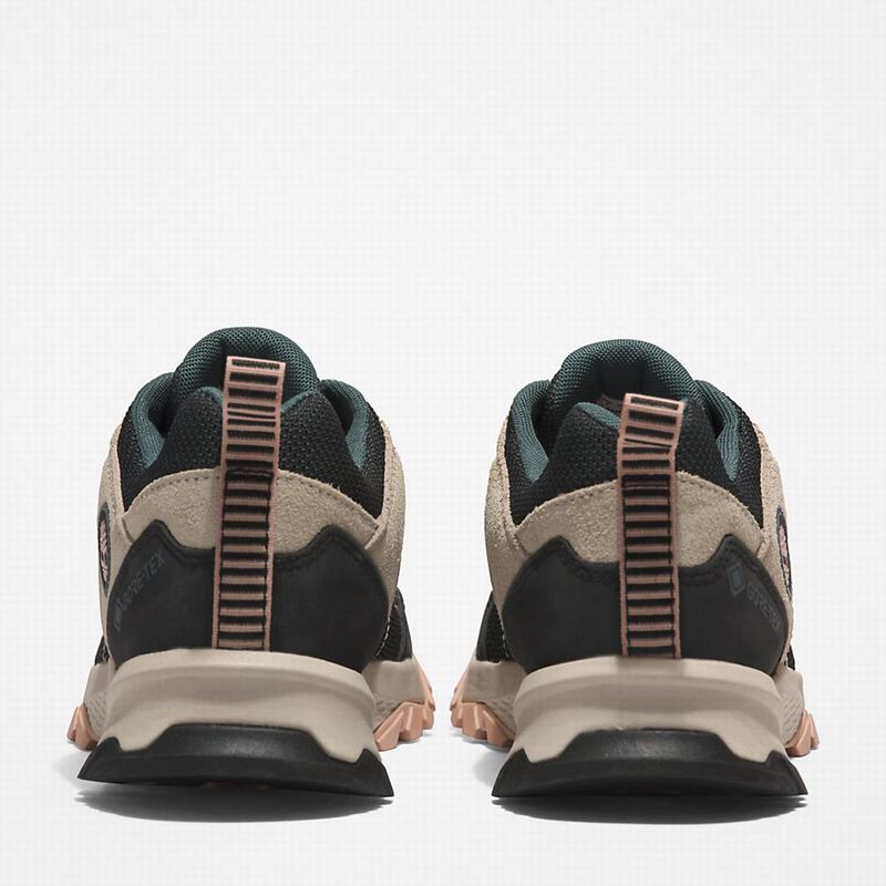 Timberland Lincoln Peak Gore-Tex Low Cipele Za Planinarenje Crne | 96065368