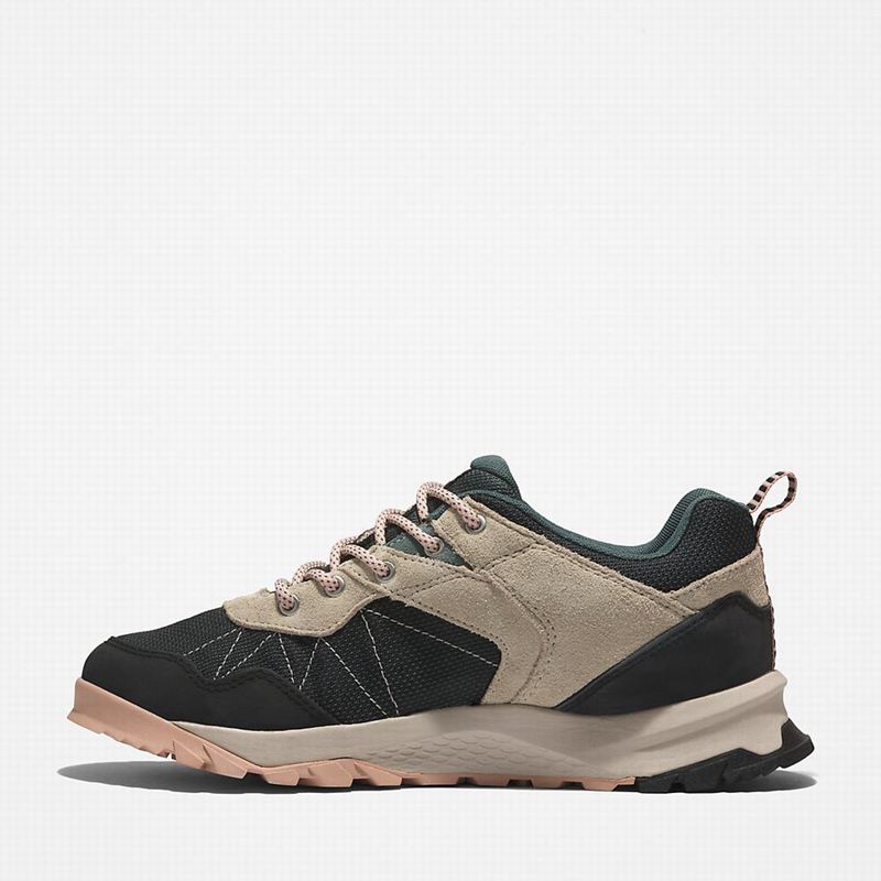 Timberland Lincoln Peak Gore-Tex Low Cipele Za Planinarenje Crne | 96065368