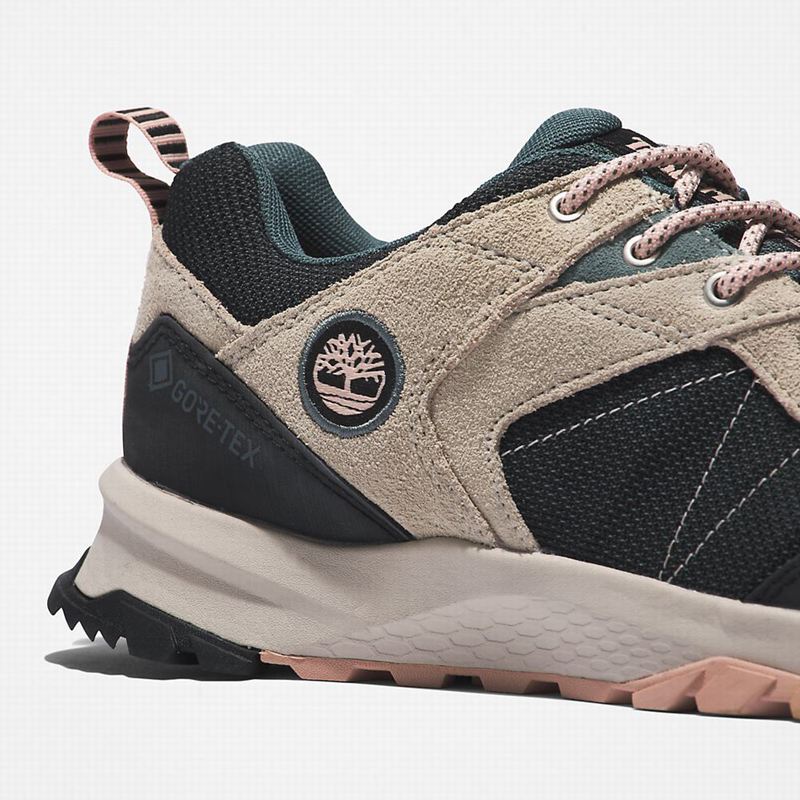 Timberland Lincoln Peak Gore-Tex Low Cipele Za Planinarenje Crne | 96065368