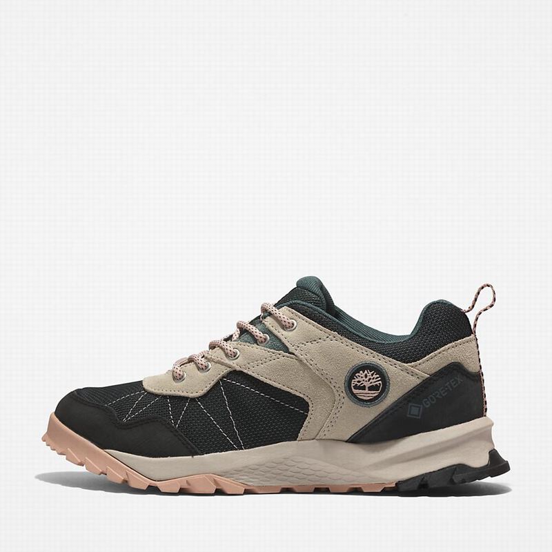 Timberland Lincoln Peak Gore-Tex Low Cipele Za Planinarenje Crne | 96065368