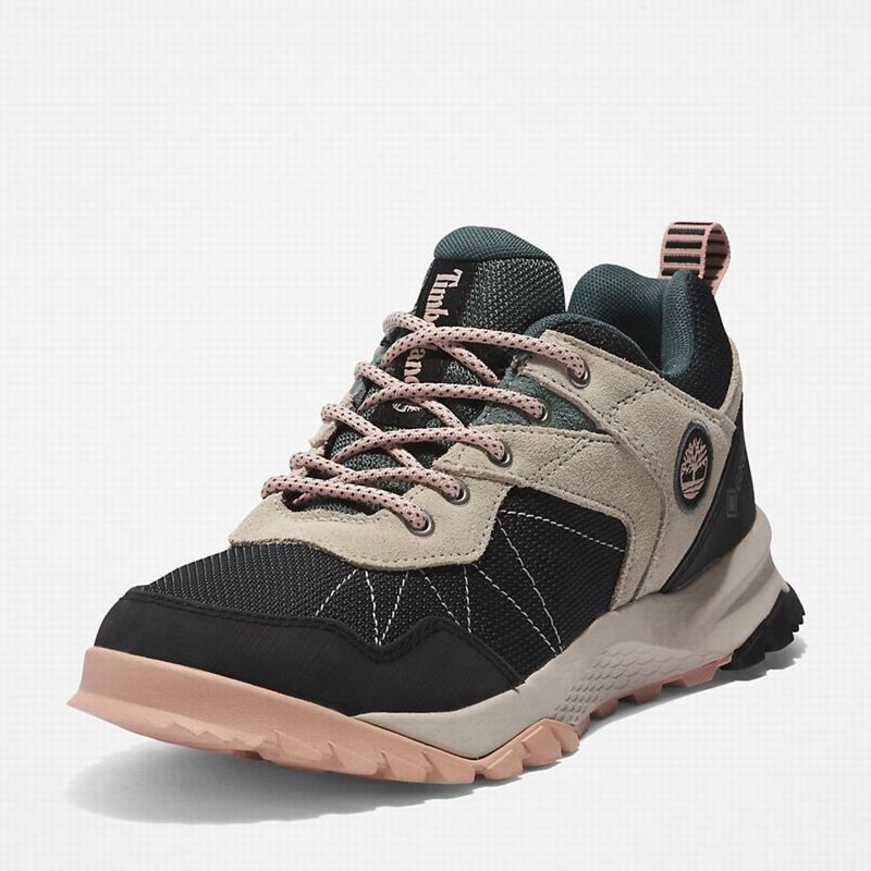 Timberland Lincoln Peak Gore-Tex Low Cipele Za Planinarenje Crne | 96065368