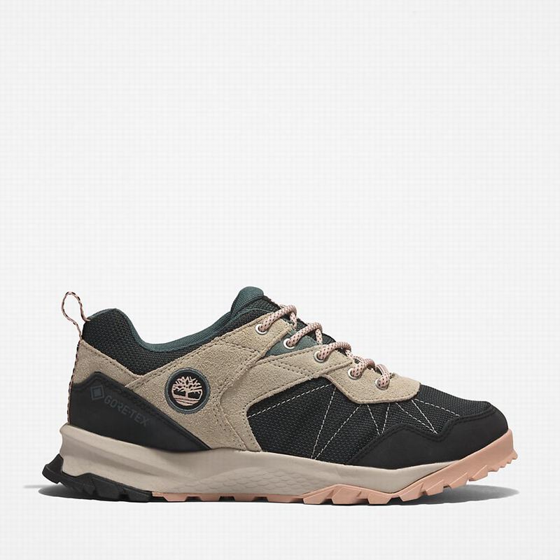 Timberland Lincoln Peak Gore-Tex Low Cipele Za Planinarenje Crne | 96065368