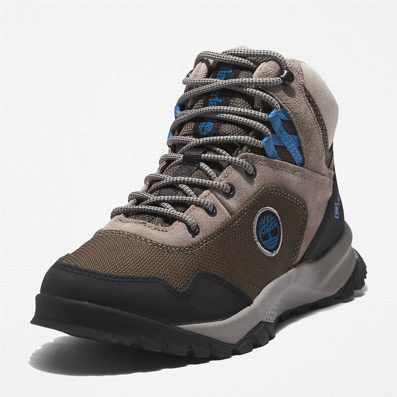 Timberland Lincoln Peak Gore-Tex Planinarske Cipele Smeđe | 44291176