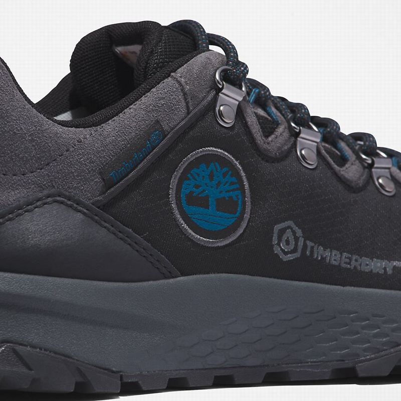 Timberland Lincoln Peak Tenisice Crne | 60164311