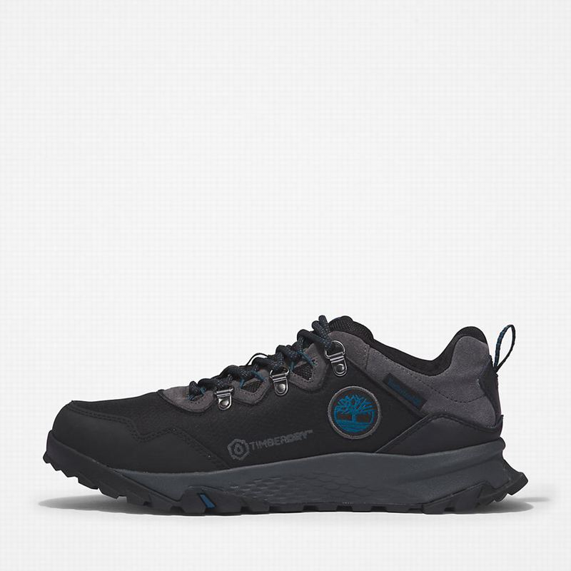 Timberland Lincoln Peak Tenisice Crne | 60164311